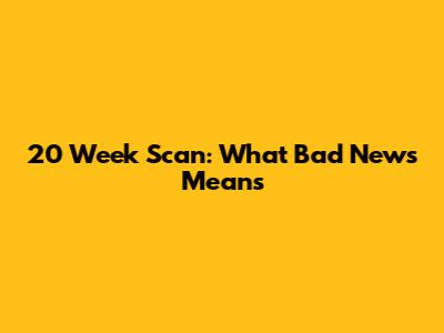 20 Week Scan: What 'Bad News' Means