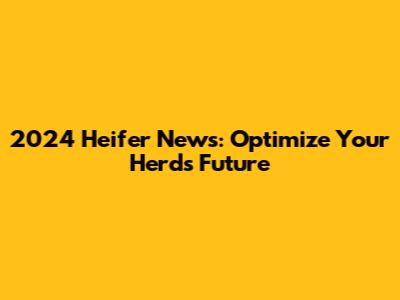 2024 Heifer News: Optimize Your Herd's Future