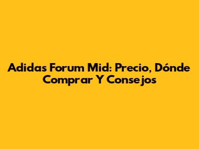 Adidas Forum Mid: Precio, Dónde Comprar Y Consejos