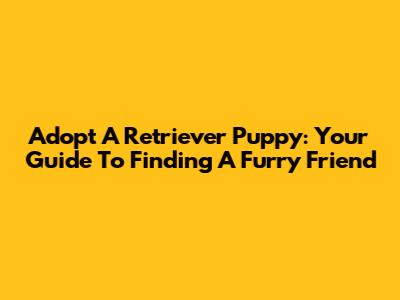 Adopt A Retriever Puppy: Your Guide To Finding A Furry Friend