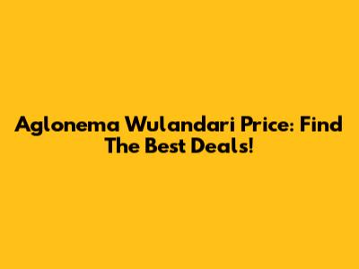 Aglonema Wulandari Price: Find The Best Deals!