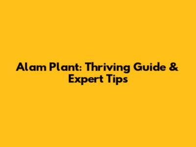 Alam Plant: Thriving Guide & Expert Tips