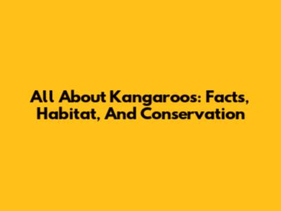 All About Kangaroos: Facts, Habitat, And Conservation