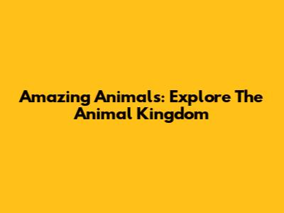 Amazing Animals: Explore The Animal Kingdom