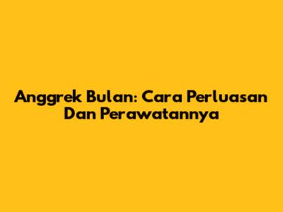 Anggrek Bulan: Cara Perluasan Dan Perawatannya