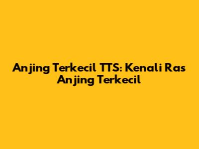 Anjing Terkecil TTS: Kenali Ras Anjing Terkecil