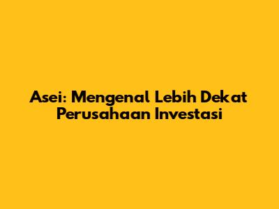 Asei: Mengenal Lebih Dekat Perusahaan Investasi