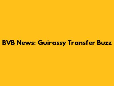 BVB News: Guirassy Transfer Buzz