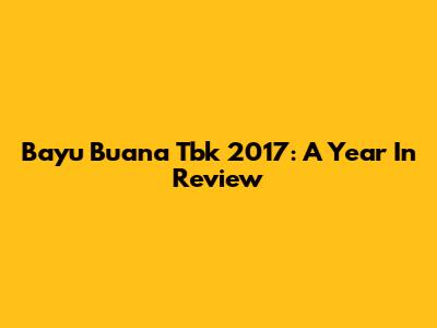 Bayu Buana Tbk 2017: A Year In Review