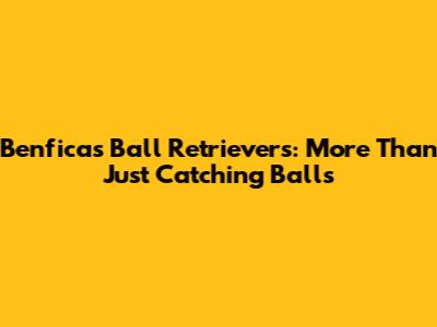 Benfica's Ball Retrievers: More Than Just Catching Balls
