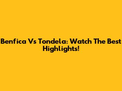 Benfica Vs Tondela: Watch The Best Highlights!