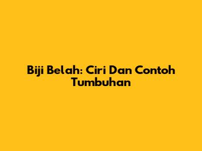 Biji Belah: Ciri Dan Contoh Tumbuhan