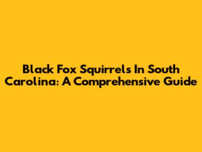 Black Fox Squirrels In South Carolina: A Comprehensive Guide