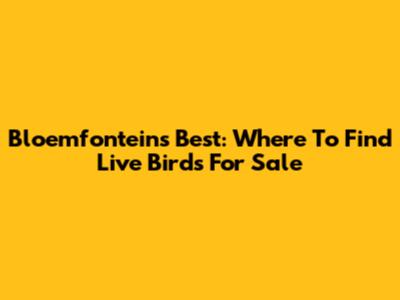 Bloemfontein's Best: Where To Find Live Birds For Sale