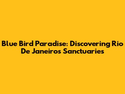 Blue Bird Paradise: Discovering Rio De Janeiro's Sanctuaries