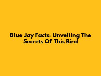 Blue Jay Facts: Unveiling The Secrets Of This Bird