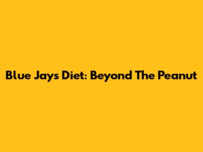 Blue Jays' Diet: Beyond The Peanut