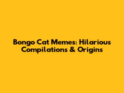 Bongo Cat Memes: Hilarious Compilations & Origins