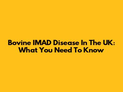 Bovine IMAD Disease In The UK: What You Need To Know