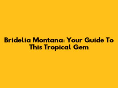 Bridelia Montana: Your Guide To This Tropical Gem