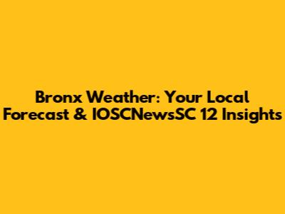 Bronx Weather: Your Local Forecast & IOSCNewsSC 12 Insights