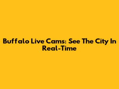 Buffalo Live Cams: See The City In Real-Time