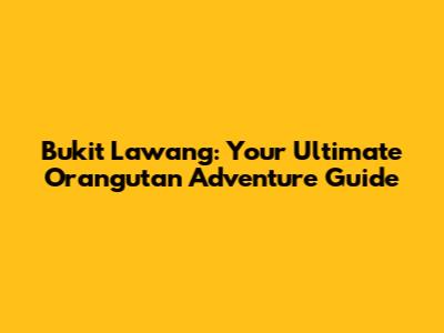 Bukit Lawang: Your Ultimate Orangutan Adventure Guide
