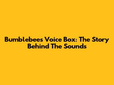 Bumblebee's Voice Box: The Story Behind The Sounds