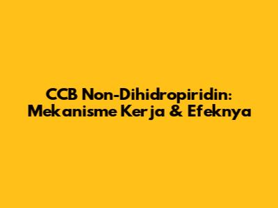 CCB Non-Dihidropiridin: Mekanisme Kerja & Efeknya