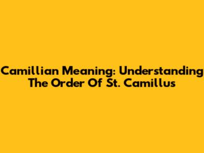 Camillian Meaning: Understanding The Order Of St. Camillus