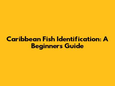 Caribbean Fish Identification: A Beginner's Guide