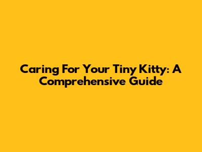 Caring For Your Tiny Kitty: A Comprehensive Guide
