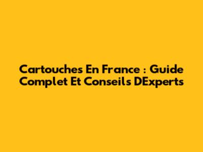 Cartouches En France : Guide Complet Et Conseils D'Experts