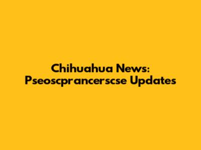 Chihuahua News: Pseoscprancerscse Updates