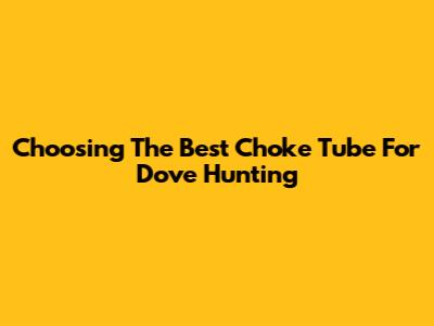 Choosing The Best Choke Tube For Dove Hunting
