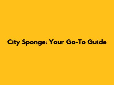 City Sponge: Your Go-To Guide