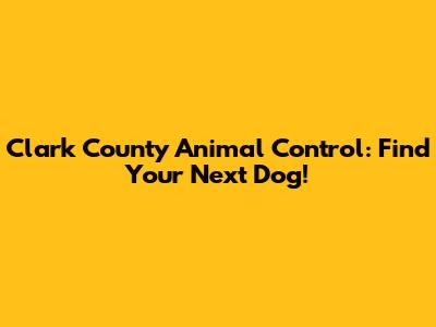 Clark County Animal Control: Find Your Next Dog!