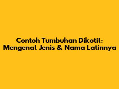 Contoh Tumbuhan Dikotil: Mengenal Jenis & Nama Latinnya