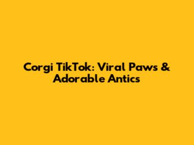 Corgi TikTok: Viral Paws & Adorable Antics