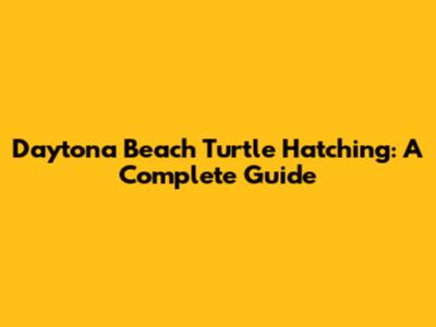 Daytona Beach Turtle Hatching: A Complete Guide