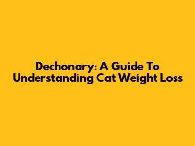 Dechonary: A Guide To Understanding Cat Weight Loss