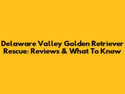 Delaware Valley Golden Retriever Rescue: Reviews & What To Know