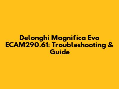 Delonghi Magnifica Evo ECAM290.61: Troubleshooting & Guide