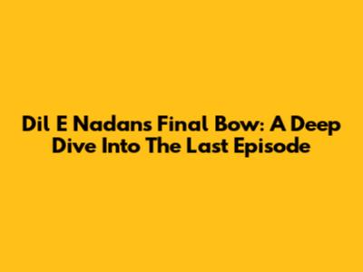 Dil E Nadan's Final Bow: A Deep Dive Into The Last Episode