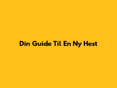 Din Guide Til En Ny Hest