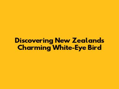 Discovering New Zealand's Charming White-Eye Bird