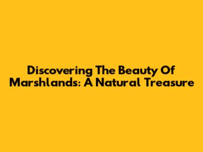 Discovering The Beauty Of Marshlands: A Natural Treasure