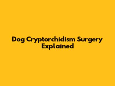 Dog Cryptorchidism Surgery Explained