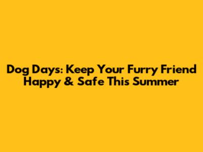 Dog Days: Keep Your Furry Friend Happy & Safe This Summer