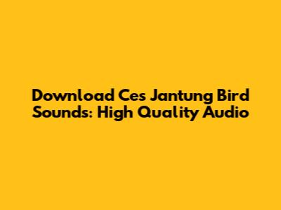 Download Ces Jantung Bird Sounds: High Quality Audio